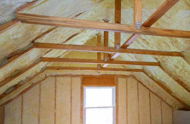 Best Residential Insulation in Anchorage, AK
